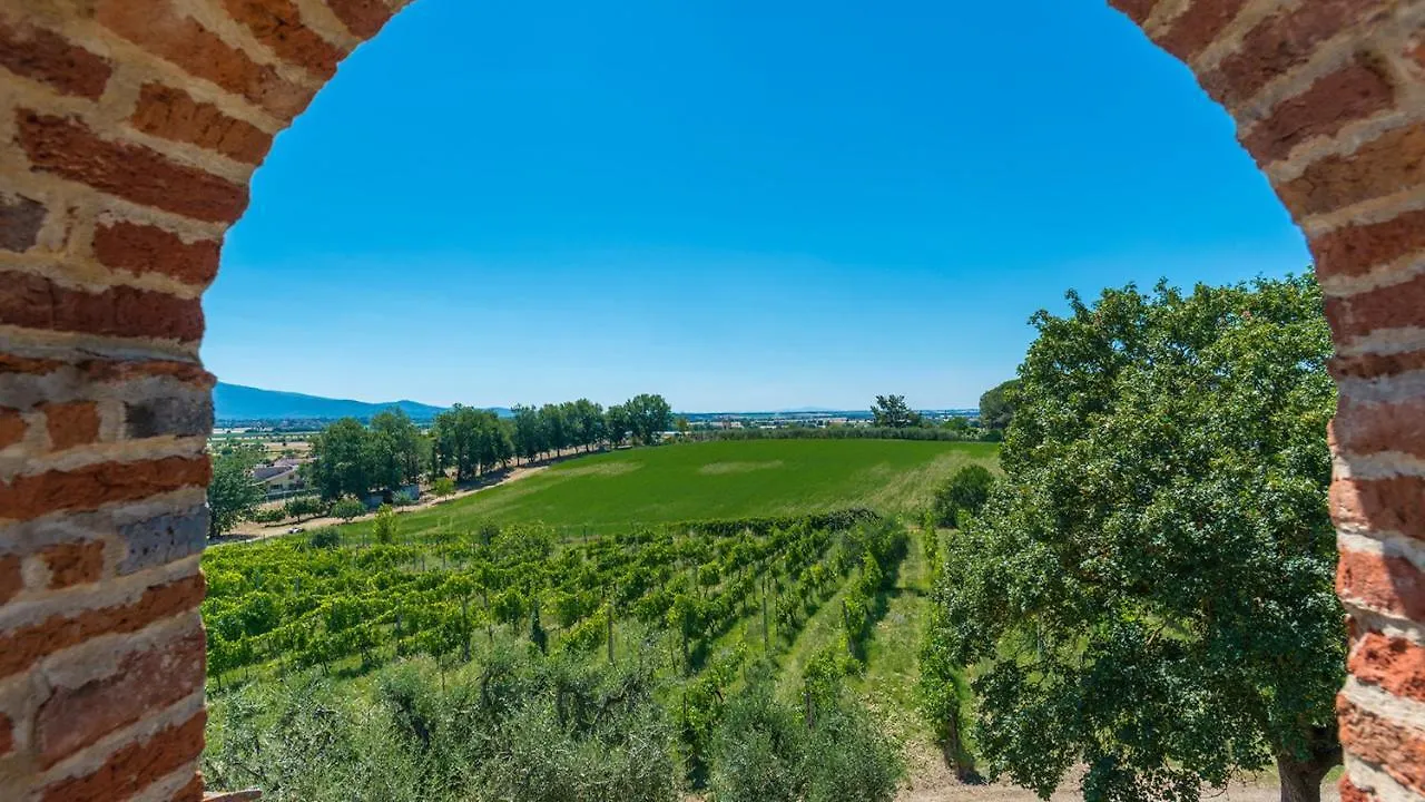 Villa Pucci 12, Emma Villas Monte San Savino